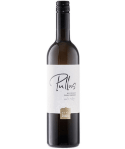 Sivi Pinot 2024
